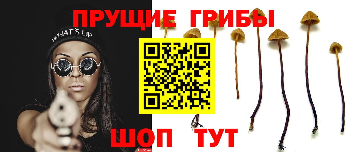 Галлюциногенные грибы MAGIC MUSHROOMS  Вход с VPN  Псилоцибиновые грибы Cubensis  Малоярославец 